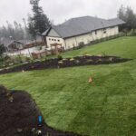 newly installed lawn
