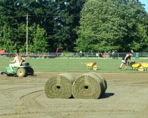 big roll of sod