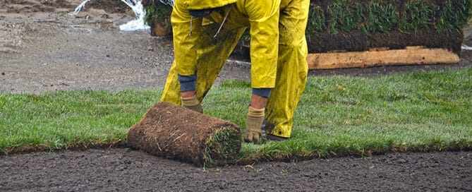 sod installation - When Can you install sod?