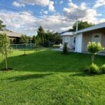 beautiful lawn