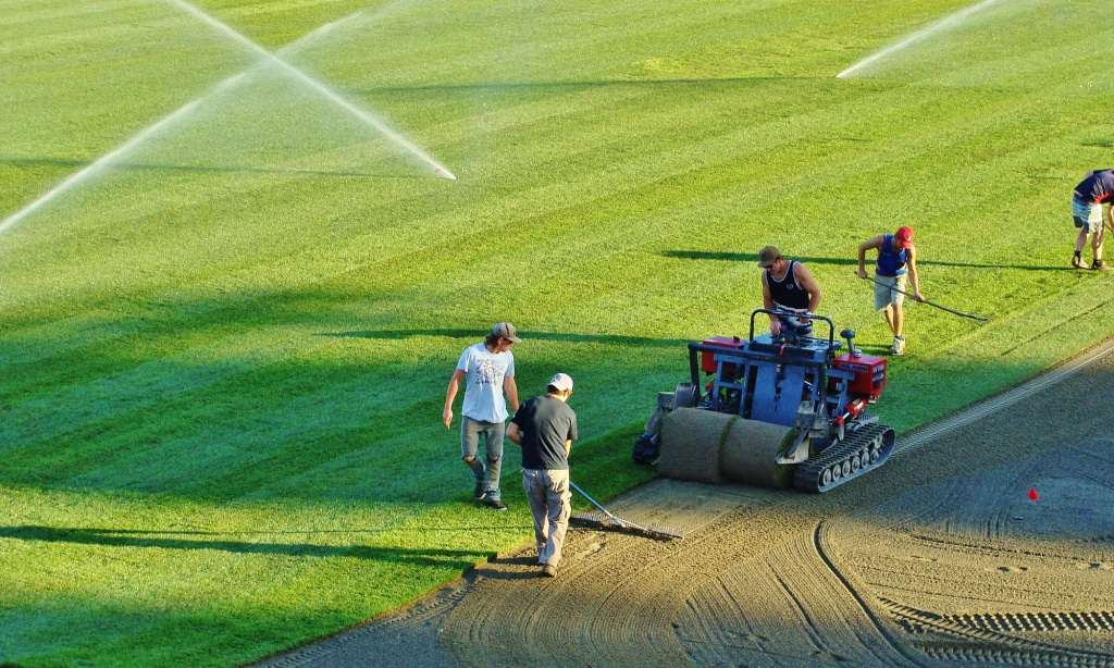 sod field