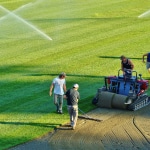 sod field