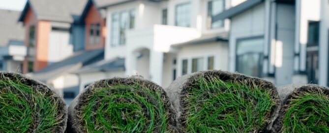 Sod Installation