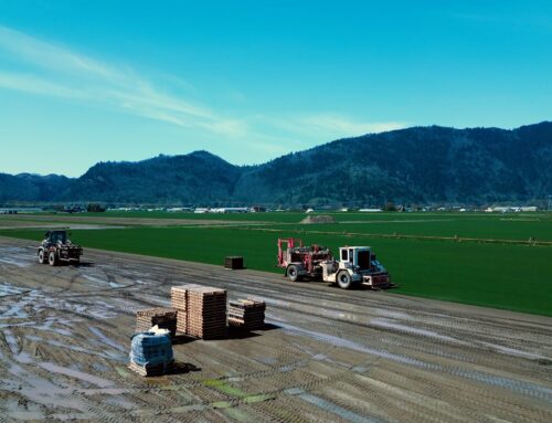 Sod Installation Across BC’s Bioregions: Tailored Approaches for Diverse Conditions