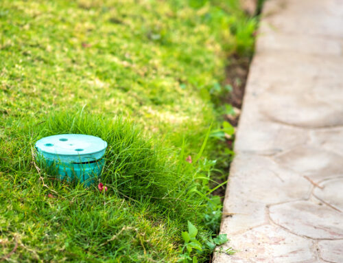 Drainage Solutions for Lawns in Rainy Season