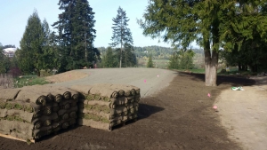 new lawn install