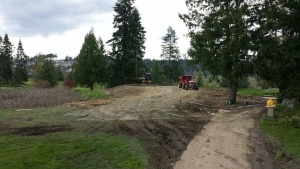 sod installation