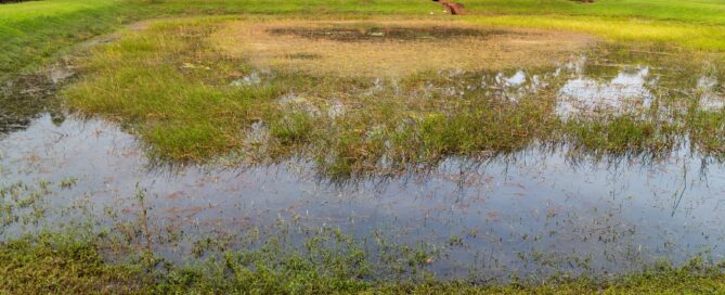 lawn drainage tips and why drainage is important