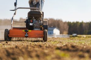 signs that your lawn needs aeration