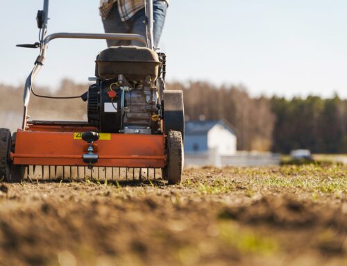 5 Signs Your Lawn Needs Aeration (And What to Do About It)