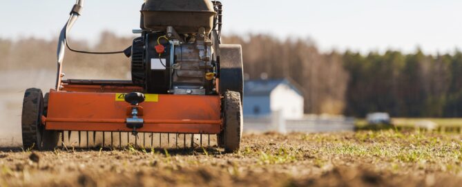 signs that your lawn needs aeration