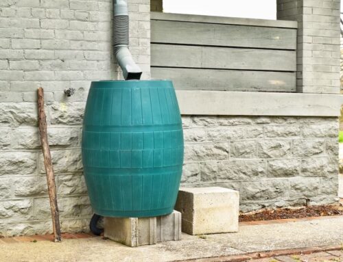 The Rain Barrel Revolution: Combatting Water Restrictions the Eco-friendly Way