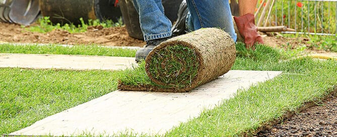 laying new sod