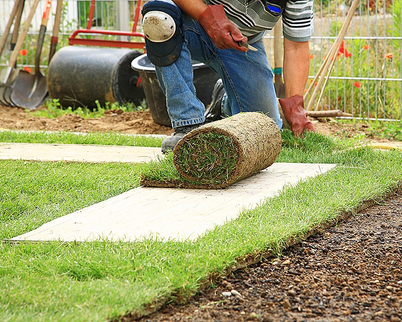 Reinforced Grass Driveways: The benefits of permeable solutions in preventing floodings