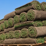 Turf Delivery