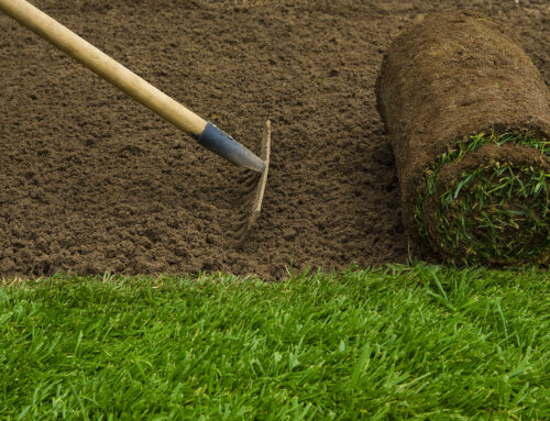 How To Prepare for A Sod Installation