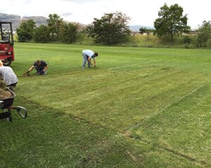 sports field lawn intall