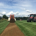 sod removal