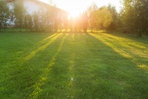 spring lawn care tips checklist
